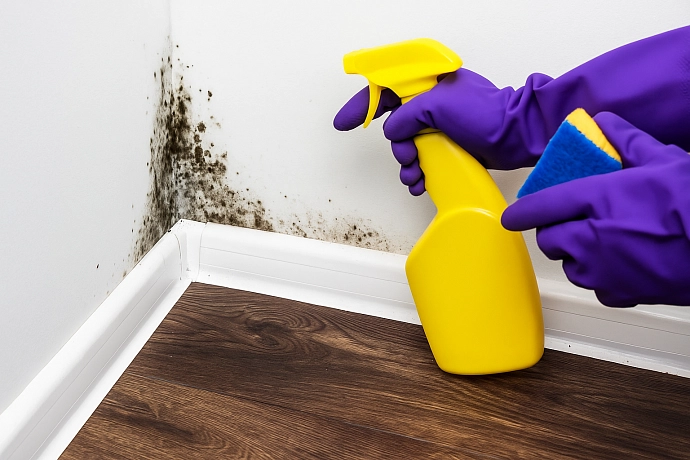 Чем обработать стены от плесени: выбор средств и пошаговая инструкция